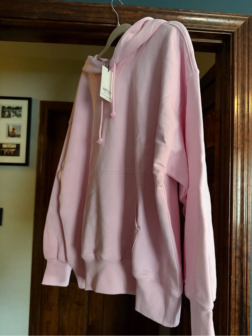 Aritzia Cozy Milkshake Pink Hoodie Sweatshirt